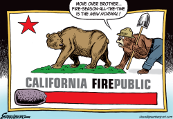 CALIFORNIA FIREPUBLIC by Steve Greenberg