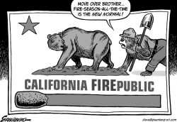 CALIFORNIA FIREPUBLIC BW by Steve Greenberg