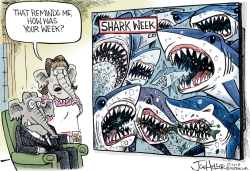 SHARK WEEK by Joe Heller
