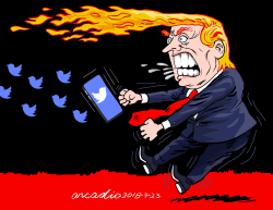 TWITTERS OF FIRE AND FURY by Arcadio Esquivel