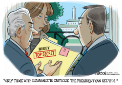 TOP LEVEL TRUMP SECURITY CLEARANCE by R.J. Matson