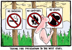 FOREST FIRE PREVENTION NEXT LEVEL by Ingrid Rice