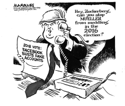 FACEBOOK AND ELECTION MEDDLING by Jimmy Margulies