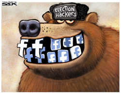 Facebook Russian Hacks by Steve Sack