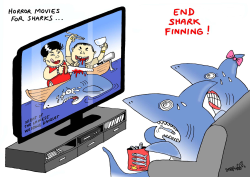 HORROR MOVIES FOR SHARKS by Stephane Peray