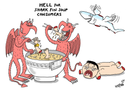HELL FOR SHARK FIN SOUP CONSUMERS by Stephane Peray