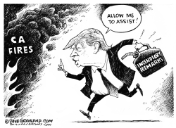 CA fires and Trump remarks by Dave Granlund