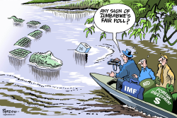 IMF AND ZIMBABWE POLL by Paresh Nath