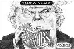 Trump BS Cards by Ed Wexler