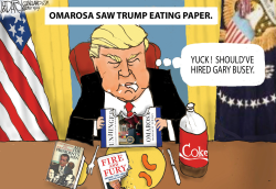 OMAROSA BOOK by Jeff Darcy