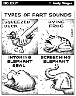 FART SOUND TYPES by Andy Singer