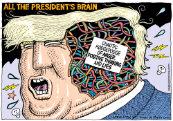 ALL THE PRESIDENT'S BRAIN by Monte Wolverton