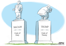 FITTING TRIBUTES TO MCCAIN AND TRUMP by RJ Matson