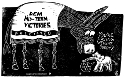 MIDTERM VICTORIES by Randall Enos