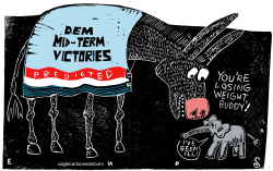 MIDTERM VICTORIES  by Randall Enos