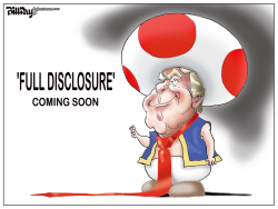 FULL DISCLOSURE by Bill Day
