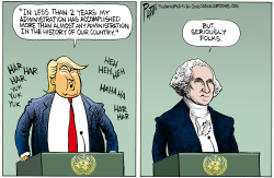 TRUMP AT THE UNITED NATIONS by Bruce Plante