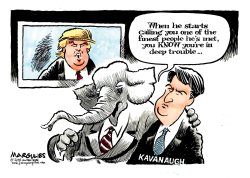 KAVANAUGH IN TROUBLE  by Jimmy Margulies