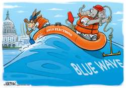 CATCHING A BLUE WAVE ELECTION by R.J. Matson