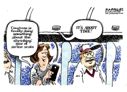 AIRLINE SEATS GETTING SMALLER COLOR by Jimmy Margulies