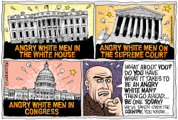 ANGRY WHITE MEN by Monte Wolverton
