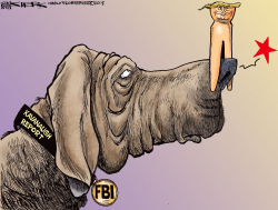 KAVANAUGH INVESTIGATION by Kevin Siers