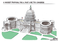 MODEST PROPOSAL FOR A POST ME TOO CONGRESS by R.J. Matson