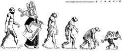 EVOLUTION by Osmani Simanca