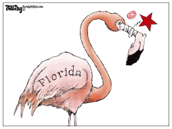 FLORIDA FLAMINGO by Bill Day