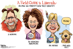 LIBERAL FIELD GUIDE by Rick McKee