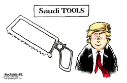 SAUDI TOOLS  by Jimmy Margulies