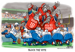 REPUBLICANS TRY TO BLOCK THE VOTE by R.J. Matson