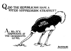 NON-VOTERS by Jimmy Margulies
