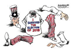 2018 ELECTION RESULTS COLOR by Jimmy Margulies