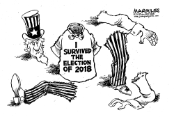 2018 ELECTION RESULTS by Jimmy Margulies