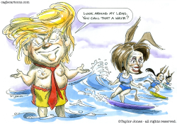 TRUMP AND PELOSI - SURF'S UP -  by Taylor Jones