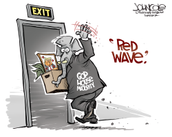 THE RED WAVE by John Cole