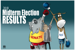 MIDTERM ELECTIONS 2018 by Randy Bish