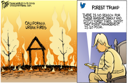 TRUMP AND CALIFORNIA FIRES by Bruce Plante