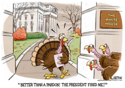 WHITE HOUSE TURKEY HAPPY TO BE FIRED by RJ Matson