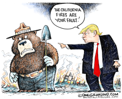 CALIFORNIA FIRES BLAME by Dave Granlund