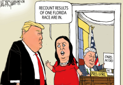 MIDTERM ELECTION RECOUNTS by Jeff Darcy