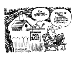 HOUSING PRICE BUBBLE by Jimmy Margulies