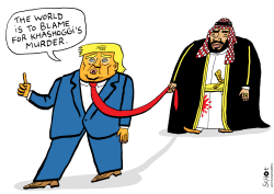 TRUMP AND SAUDIARABIA by Schot