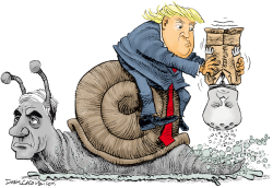 TRUMP MUELLER AND WHITAKER by Daryl Cagle
