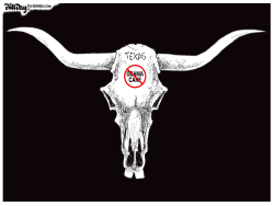 TEXAS OBAMACARE by Bill Day