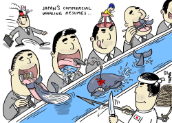 JAPAN 'S WHALE HUNT RESUMES by Stephane Peray