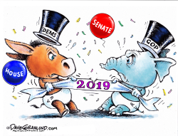 CONGRESS NEW YEAR 2019 by Dave Granlund