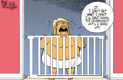 TRUMP AND THE BABY GATE by Bruce Plante
