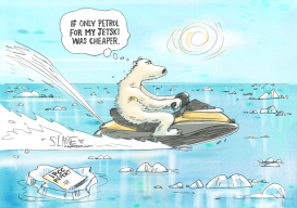 Polar Bear On A JetSki by Chris Slane